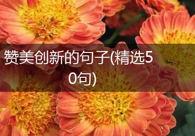 赞美创新的句子(精选50句)