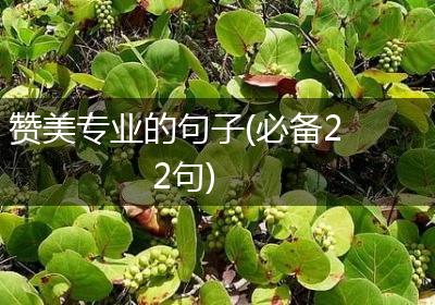 赞美专业的句子(必备22句)