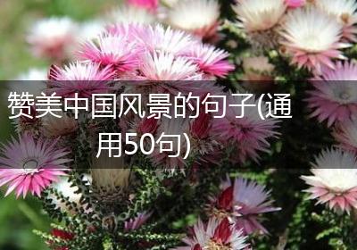 赞美中国风景的句子(通用50句)