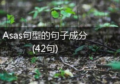 Asas句型的句子成分(42句)