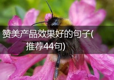赞美产品效果好的句子(推荐44句)