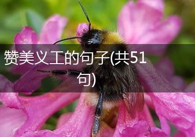 赞美义工的句子(共51句)