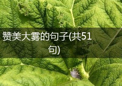 赞美大雾的句子(共51句)