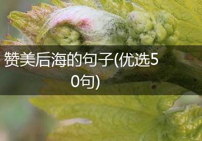赞美后海的句子(优选50句)