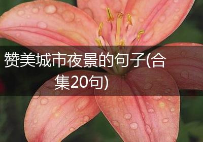 赞美城市夜景的句子(合集20句)