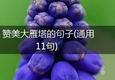 赞美大雁塔的句子(通用11句)