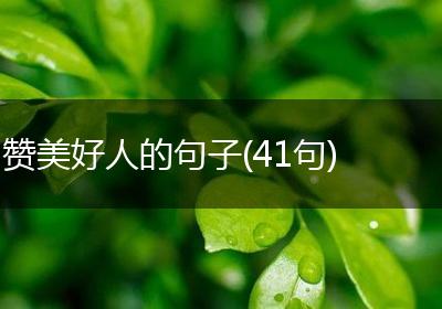 赞美好人的句子(41句)