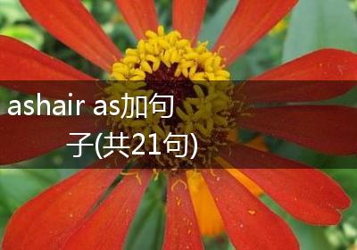 ashair as加句子(共21句)