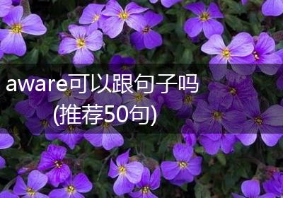 aware可以跟句子吗(推荐50句)