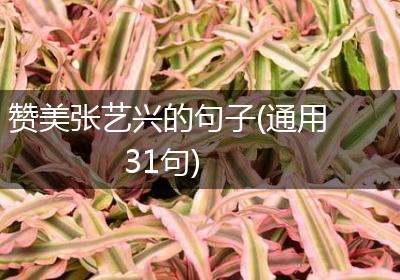 赞美张艺兴的句子(通用31句)