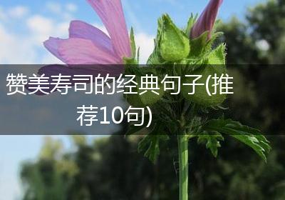 赞美寿司的经典句子(推荐10句)