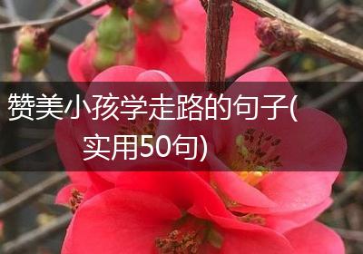 赞美小孩学走路的句子(实用50句)