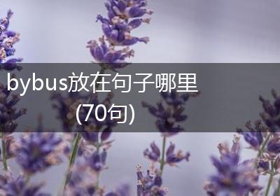 bybus放在句子哪里(70句)
