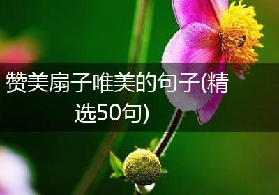 赞美扇子唯美的句子(精选50句)
