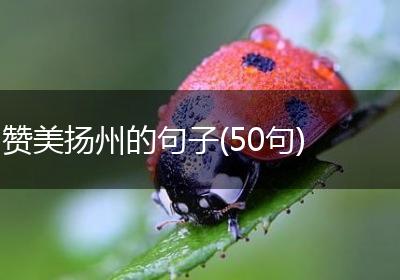赞美扬州的句子(50句)
