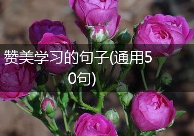 赞美学习的句子(通用50句)