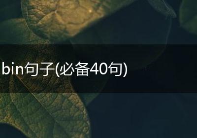 bin句子(必备40句)