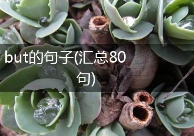 but的句子(汇总80句)