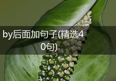 by后面加句子(精选40句)
