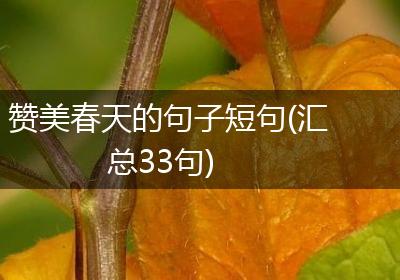 赞美春天的句子短句(汇总33句)