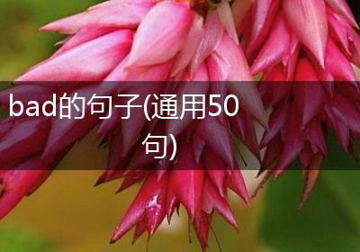 bad的句子(通用50句)