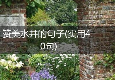 赞美水井的句子(实用40句)