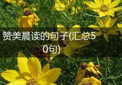 赞美晨读的句子(汇总50句)