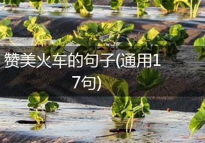 赞美火车的句子(通用17句)
