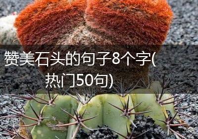 赞美石头的句子8个字(热门50句)
