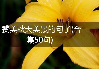 赞美秋天美景的句子(合集50句)
