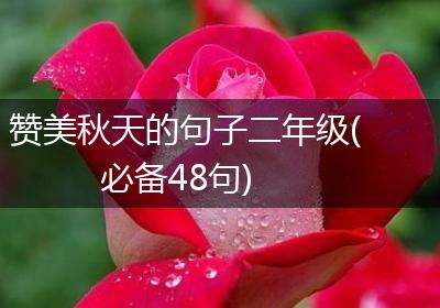 赞美秋天的句子二年级(必备48句)