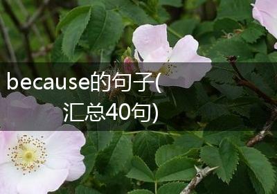 because的句子(汇总40句)