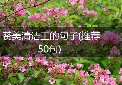 赞美清洁工的句子(推荐50句)