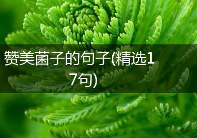 赞美菌子的句子(精选17句)