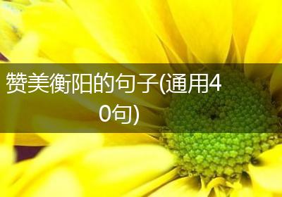 赞美衡阳的句子(通用40句)
