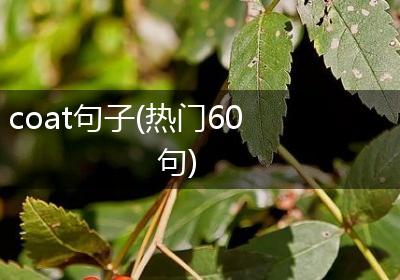 coat句子(热门60句)