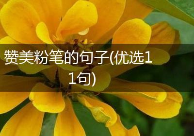 赞美粉笔的句子(优选11句)