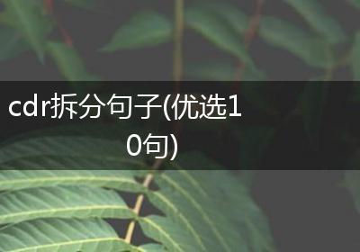 cdr拆分句子(优选10句)