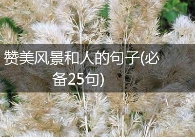 赞美风景和人的句子(必备25句)