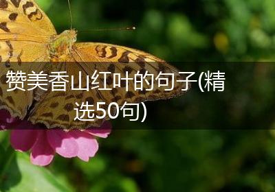 赞美香山红叶的句子(精选50句)