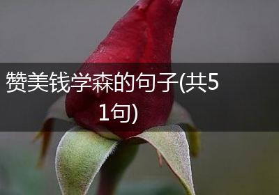 赞美钱学森的句子(共51句)
