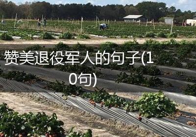 赞美退役军人的句子(10句)