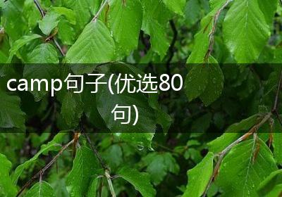camp句子(优选80句)