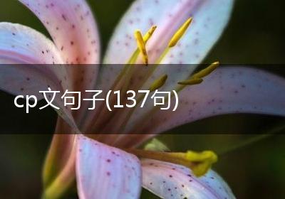 cp文句子(137句)
