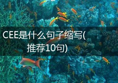 CEE是什么句子缩写(推荐10句)