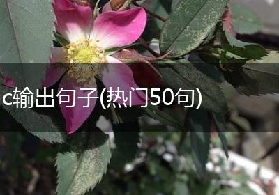 c输出句子(热门50句)