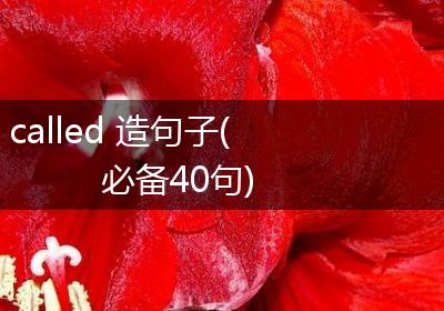 called 造句子(必备40句)