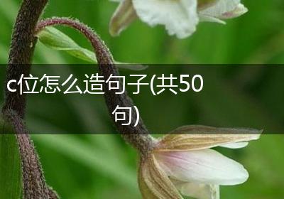 c位怎么造句子(共50句)