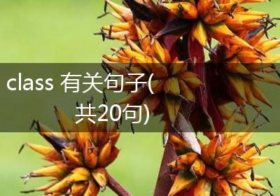 class 有关句子(共20句)