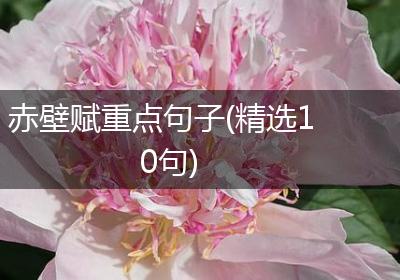 赤壁赋重点句子(精选10句)
